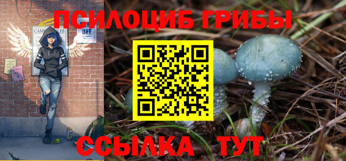 Галлюциногенные грибы мухоморы Татарск